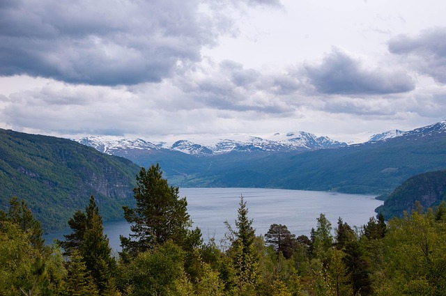 fjord, water, sea, ocean, mountain, forest, tree, norway, nature, landscape, sky, clouds, scandinavia, mountains, travel, scenic, lake, team, panorama, cabin, river, outdoors, outdoor, blue team